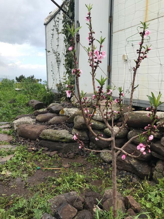 Natura-Eco Farm Ngoại thất bức ảnh